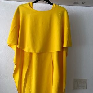 Zara Plunging back cocktail dress